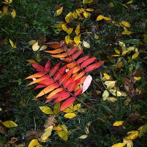 Photo #12748454
