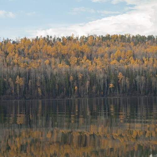 Photo #12748639