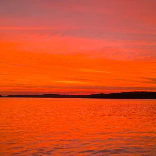 Photo #12748700