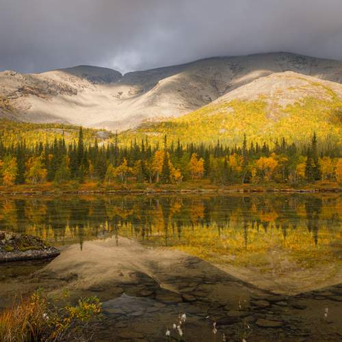 Photo #12748802