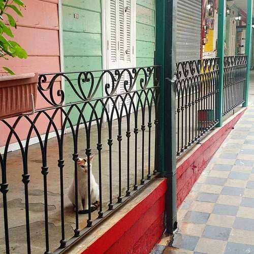 Photo #12749121