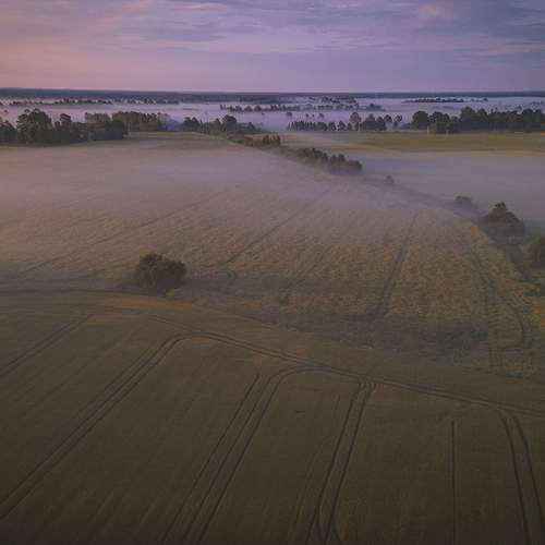 Photo #12749374