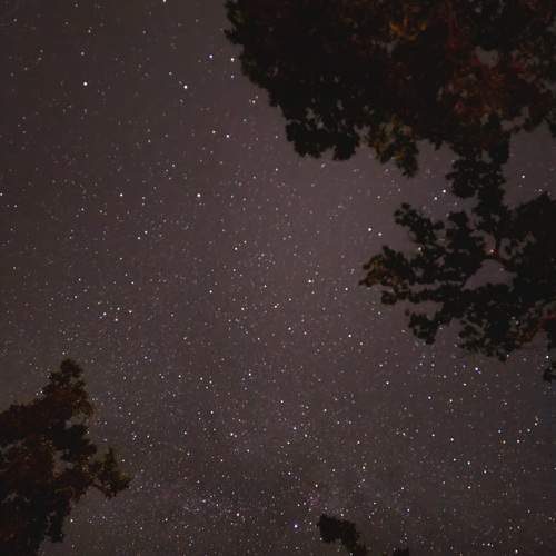 “The Night That Never Ends”