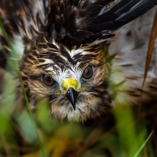 Photo #12749960