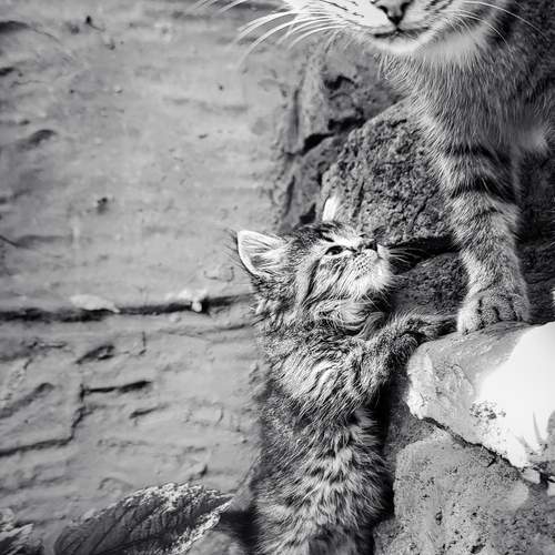 Photo #12749972