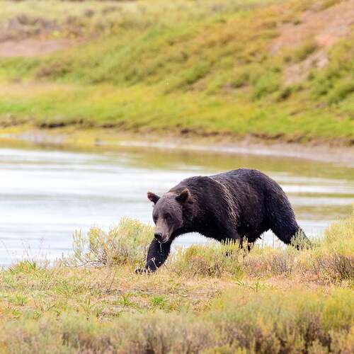 Photo #12750014