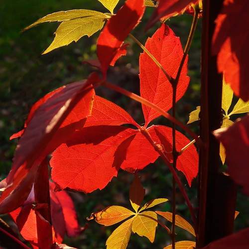 Photo #12750176