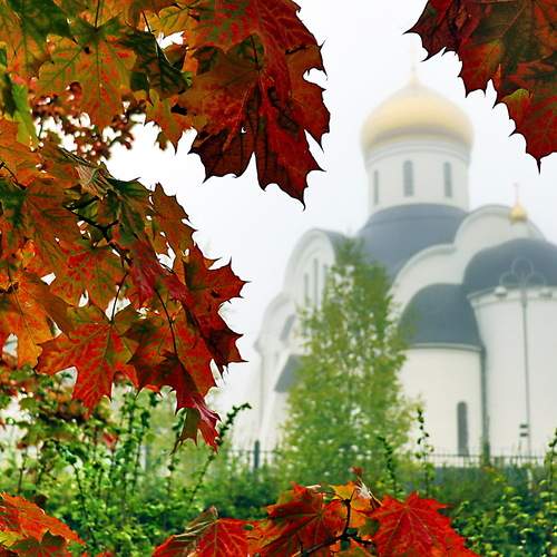 Photo #12750330