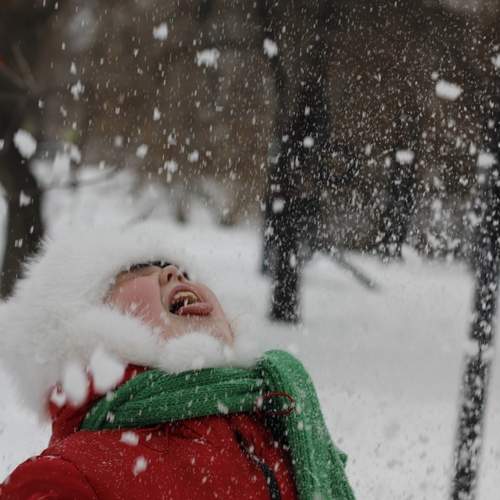 Photo #12750564