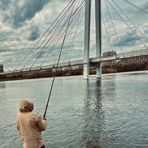 Photo #12750674