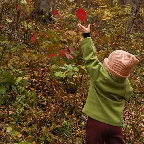 Photo #12750685
