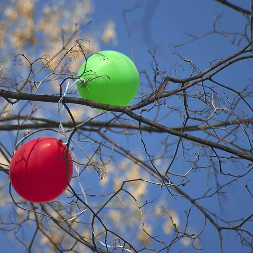 Не долетели