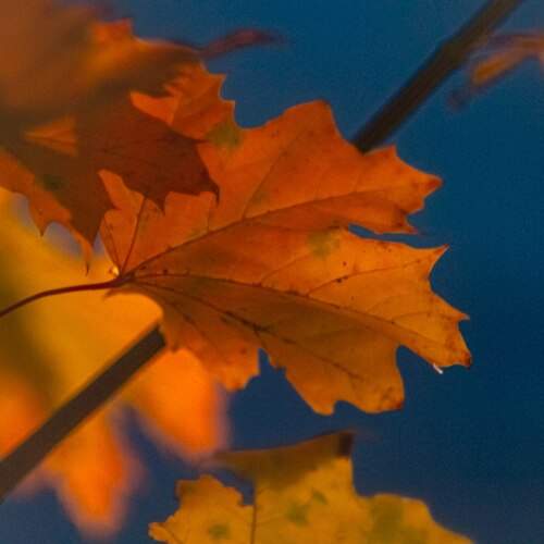 Photo #12751051