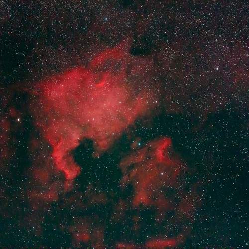 Photo #12751149