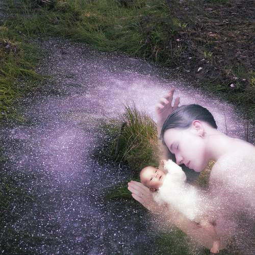 Photo #12751155