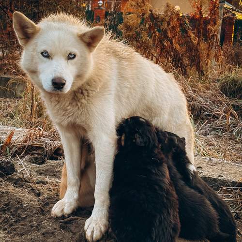Photo #12751256