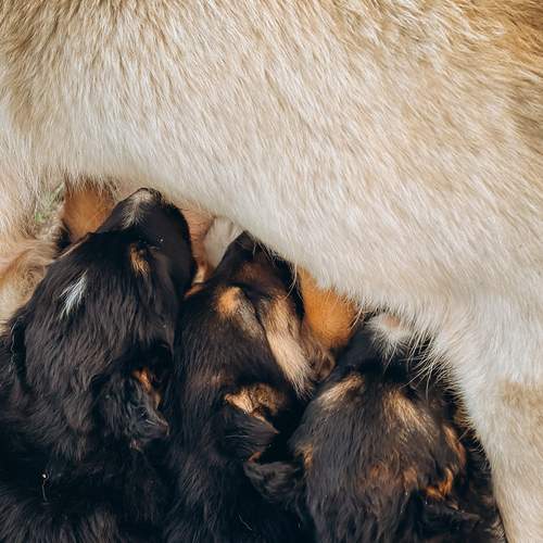 Photo #12751258