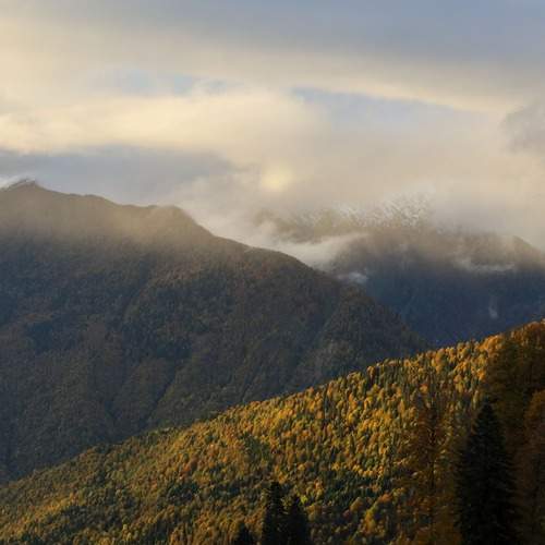 Photo #12751383