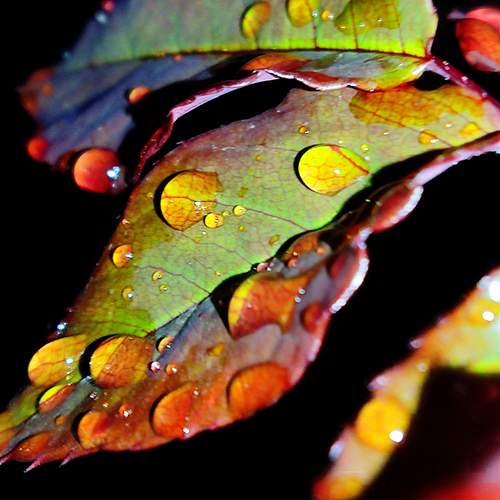 Photo #12751910