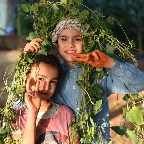 Photo #12752055
