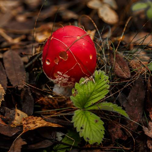Photo #12752111