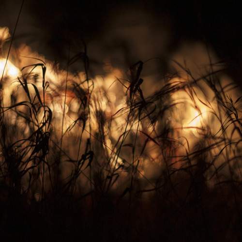 Photo #12752116