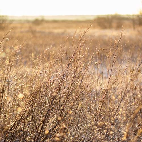 Photo #12752128