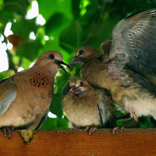 Photo #12752533
