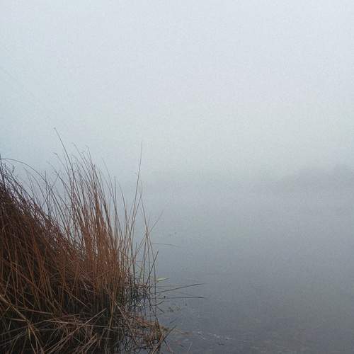 Photo #12752604