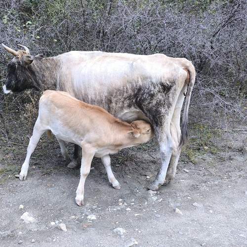 Photo #12752634