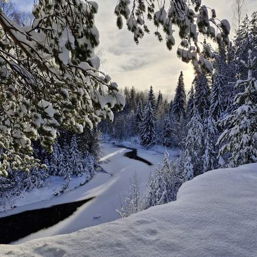 Photo #12752752