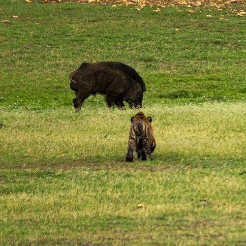 Life skills need practicing