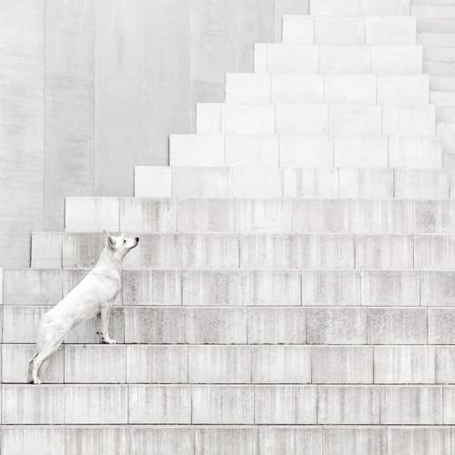 The Shape of Stillness