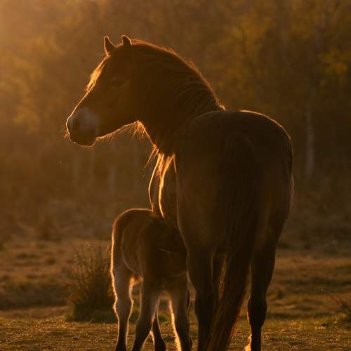 Beneath the setting sun