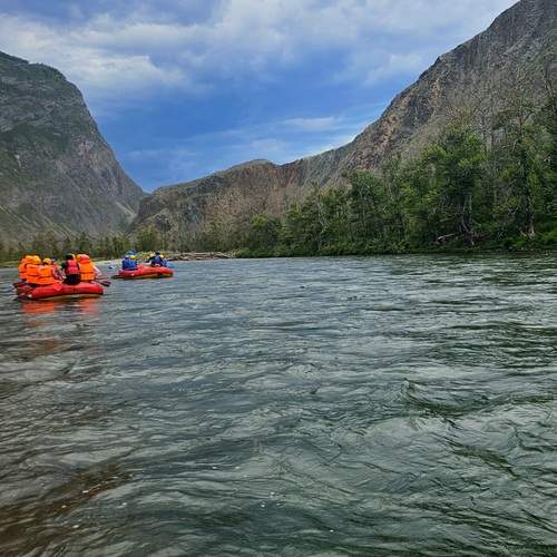Photo #12753175
