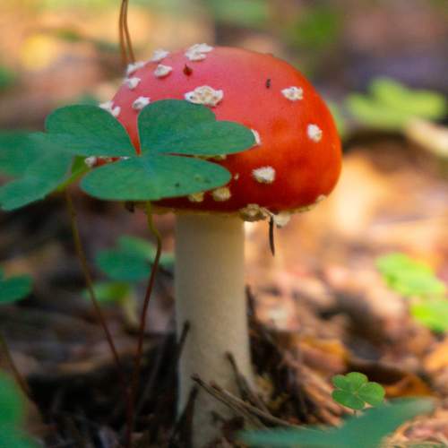 Photo #12753269