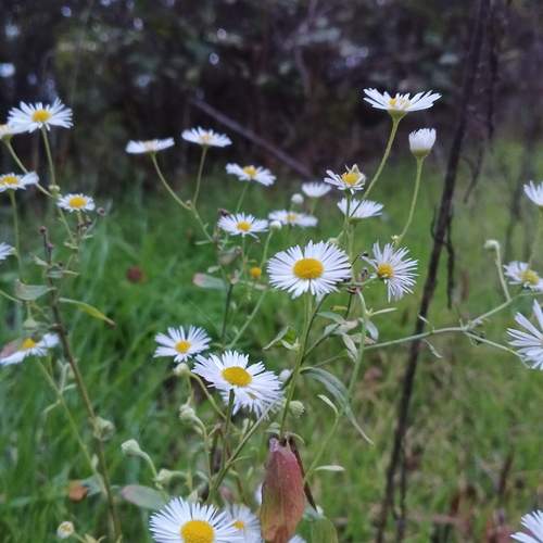 Photo #12753594