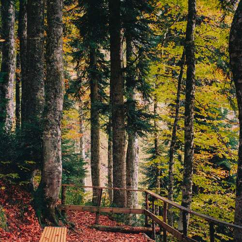 Photo #12753938