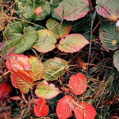 Photo #12753949