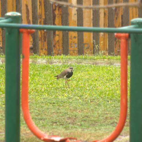 Photo #12754153