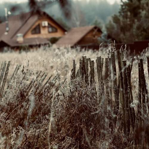 Photo #12754173