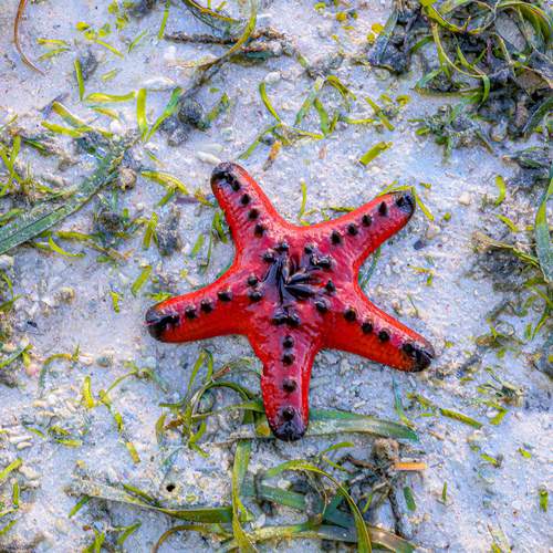 Photo #12754403