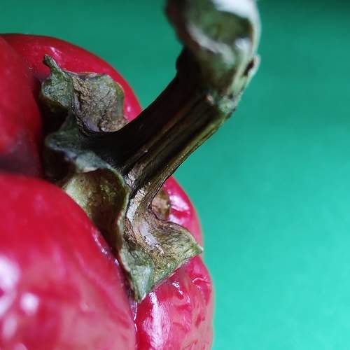 Photo #12754429