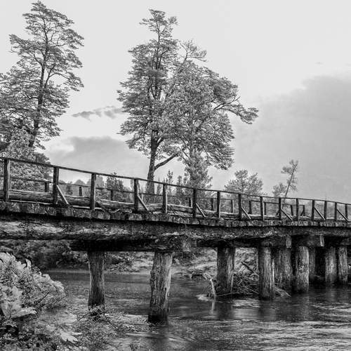 River Crossing in the Wild