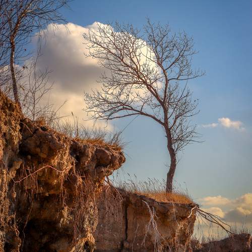 Photo #12754640