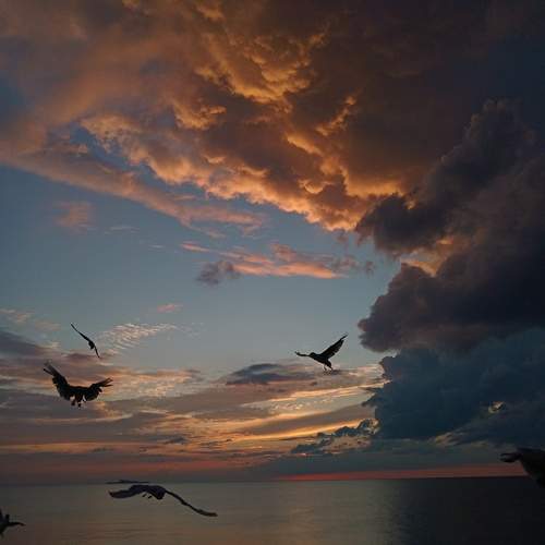 Photo #12754709