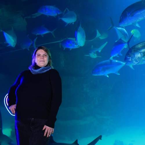 Photo #12754811