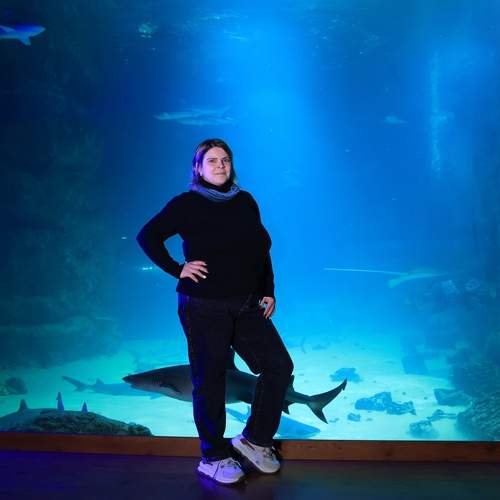Photo #12754813