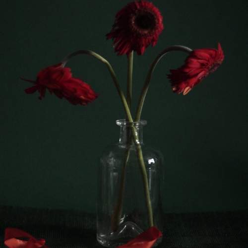 Photo #12754974