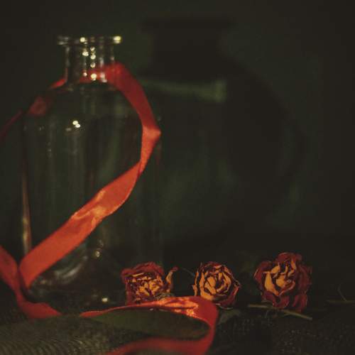 Photo #12754990